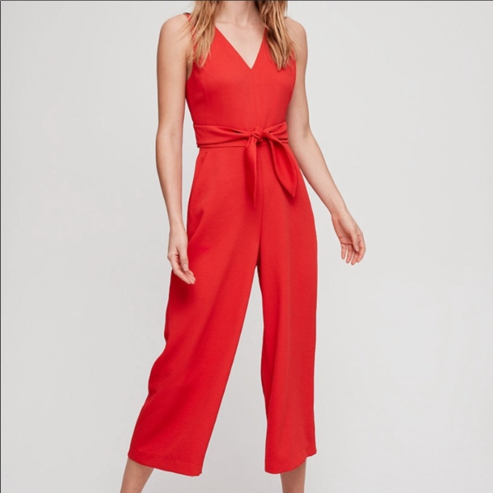 Aritzia Wilfred ecoulement jumpsuit in goji berry